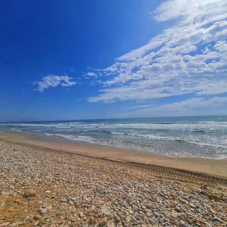 Primera linea Oropesa del Mar - Apartamento de 1 dormitorio - 1