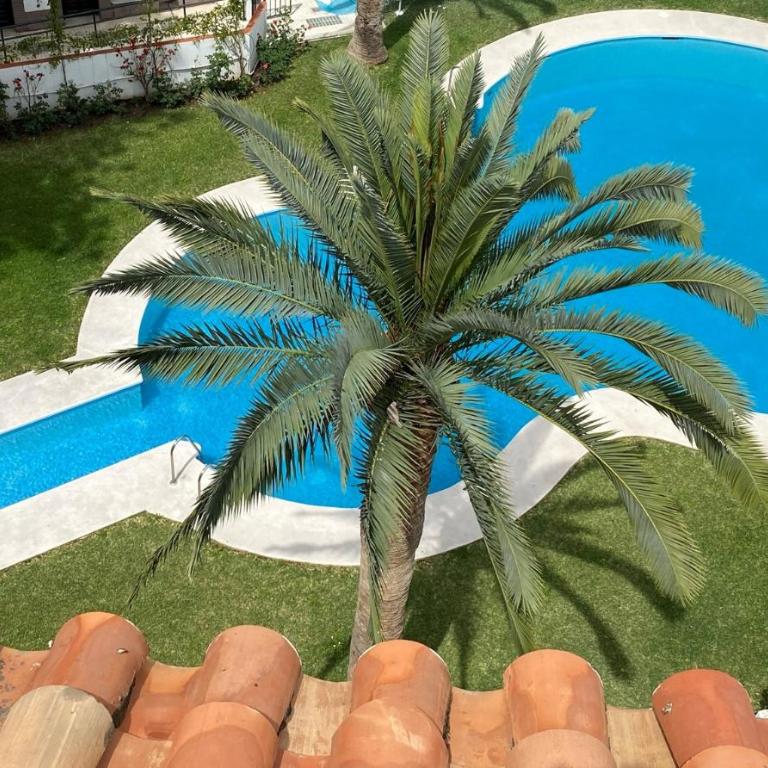 Penthouse Seaview Centro Casasol - Apartamento Ático - 35