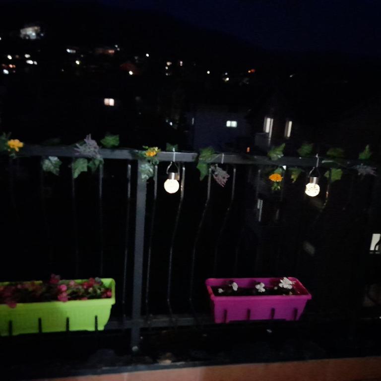 Rudolf apartmani - Apartman sa 1 Spavaćom Sobom - 50
