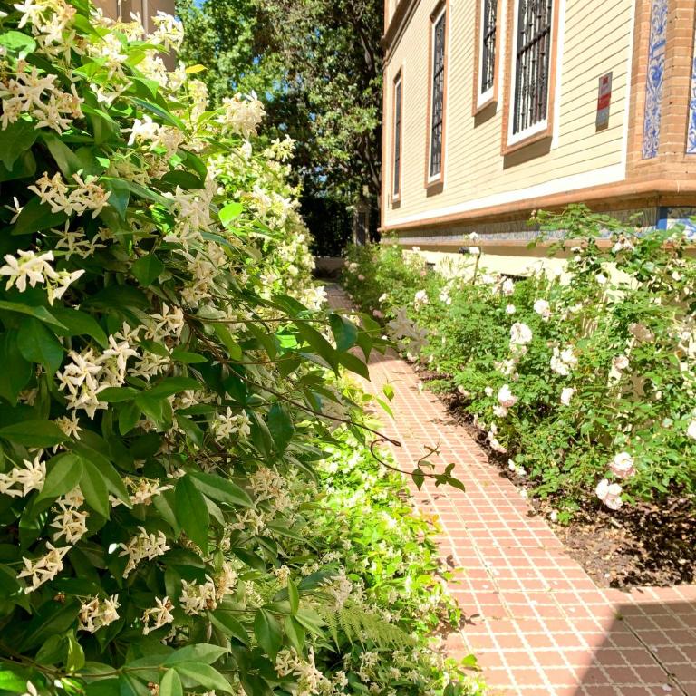 Villa Alfonso, Restored Palace House with gardens and Monuments Views - Villa - 64