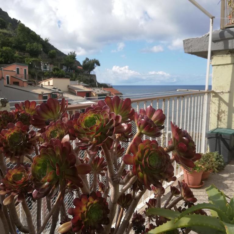 RioROOMS La Punta House by the sea - Apartamento de 1 dormitorio - 27