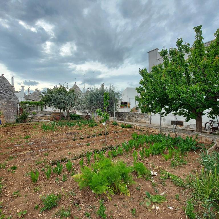il trullo di giada e mattia - Casa Vacanze - 3