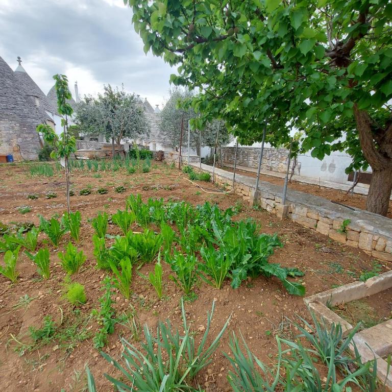 il trullo di giada e mattia - Casa Vacanze - 7