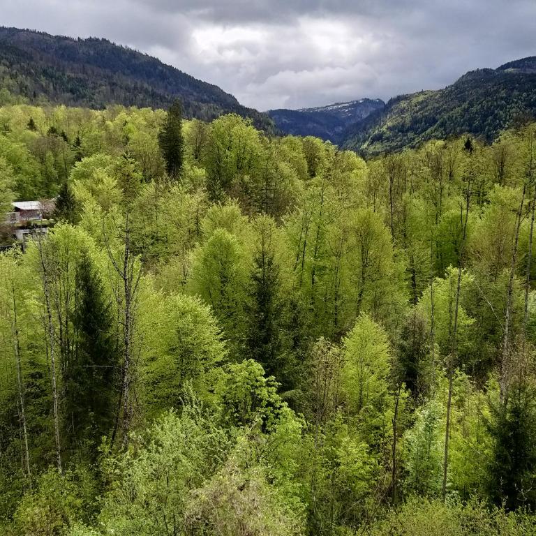 CHILL&SLEEP Bad Ischl - Apartment mit Blick auf die Berge - 6
