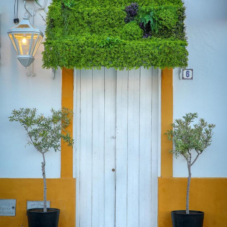 DONDE DUERME EL GUADIANA - Apartamento de 1 dormitorio - 4