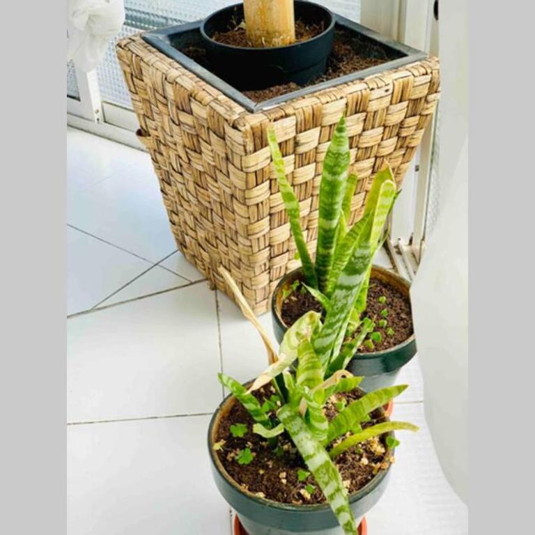 Begonia City Center Apartment 230 BY NAMASTE ELITE - Apartamento de 1 dormitorio - 15