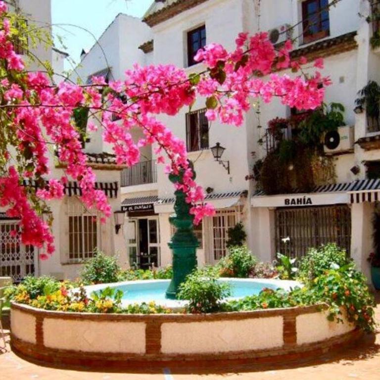 Begonia Studio 119 - Studio Apartment - 27