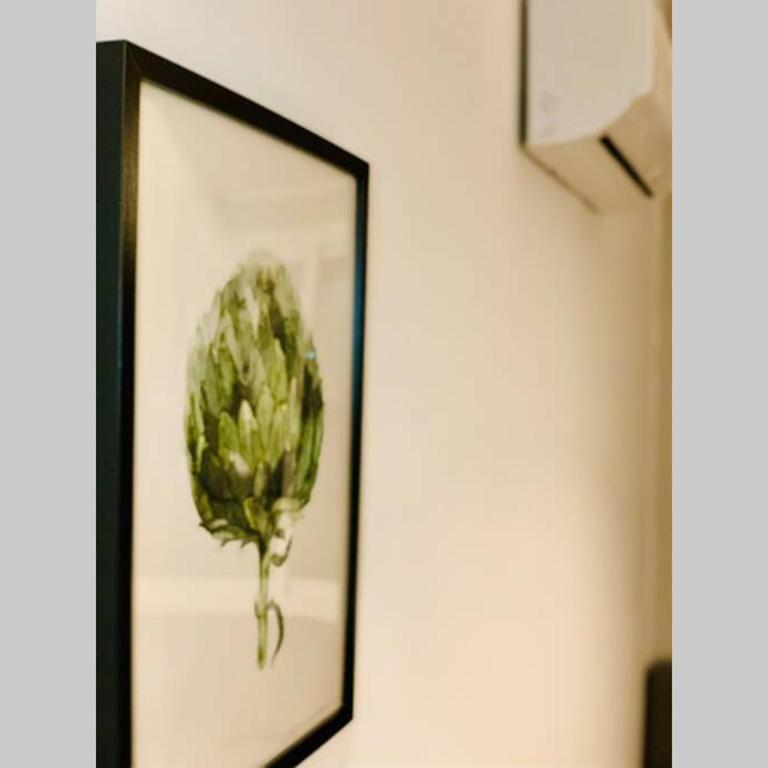 Begonia Studio 119 - Studio Apartment - 30