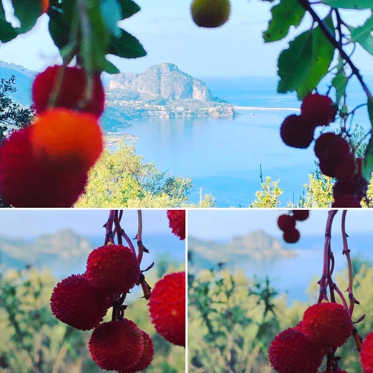 cefalù nest pool house terrace sea view - Holiday Home with Terrace and Sea View - 21