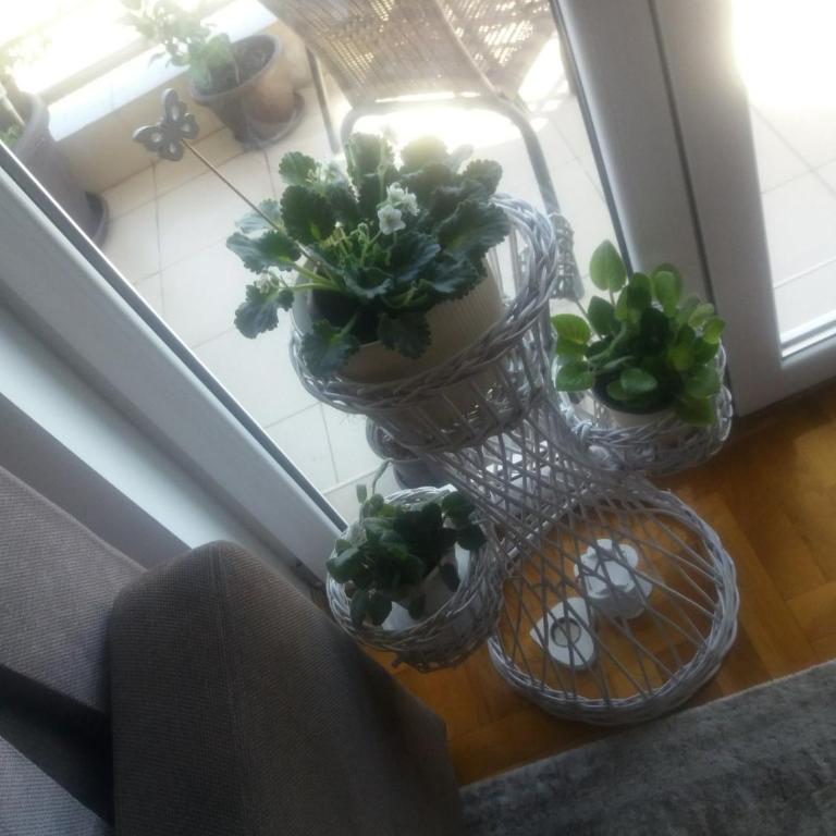 Агни - Apartman sa Terasom - 9