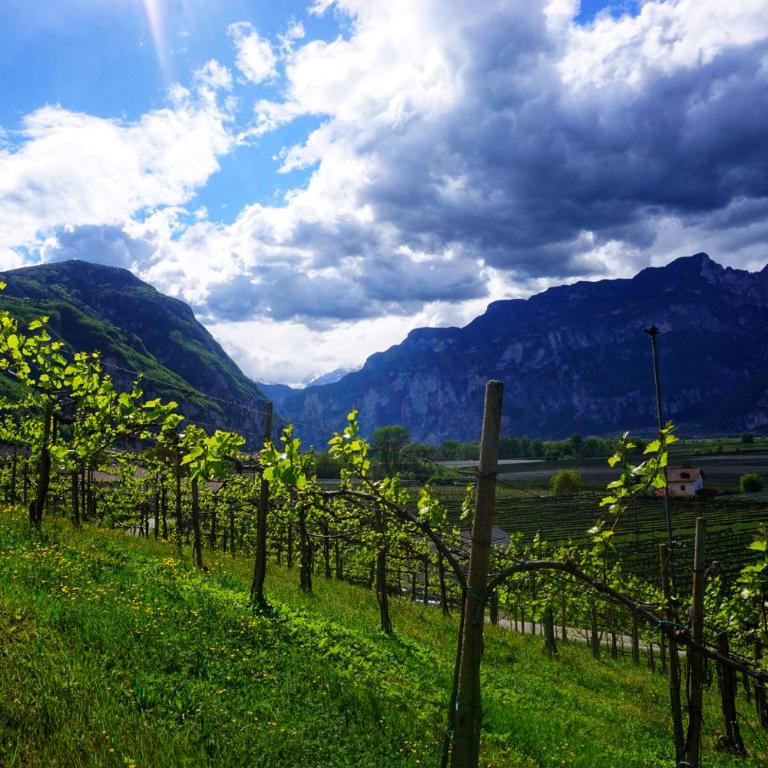 Agritur Zuveith - Appartamento con 2 Camere da Letto - 7