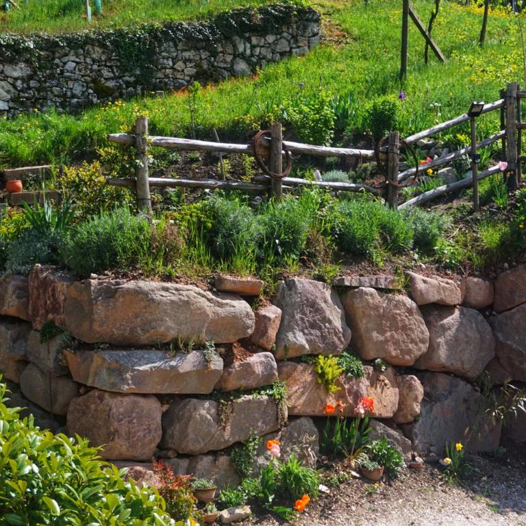 Agritur Zuveith - Appartamento con 2 Camere da Letto - 15