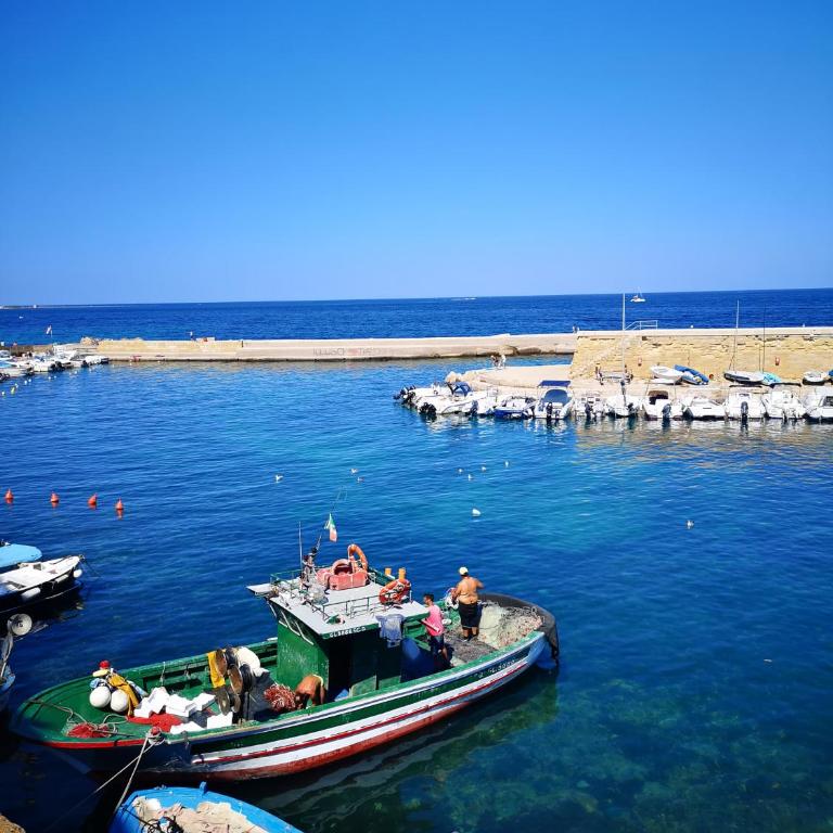 Dimora nel centro storico di Gallipoli - Casa Vacanze - 17