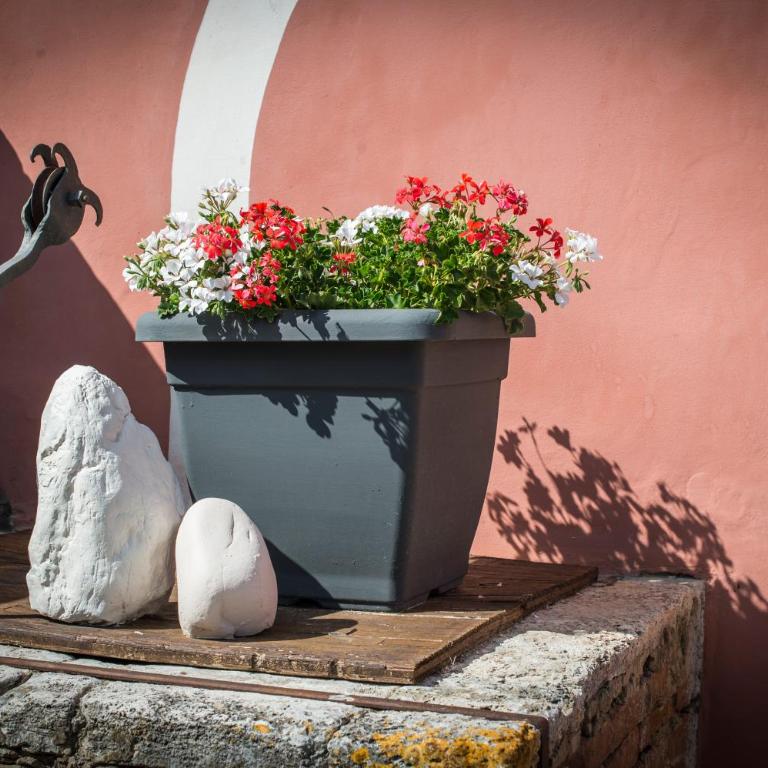 Palazzo del Papa Country Suites - Appartamento Superior - 60