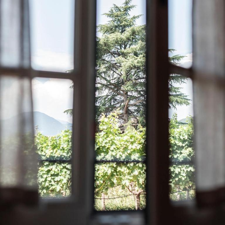 Weingut Kornell - Schafferhaus Cosmas und Zeder - Appartamento con 2 Camere da Letto - 11