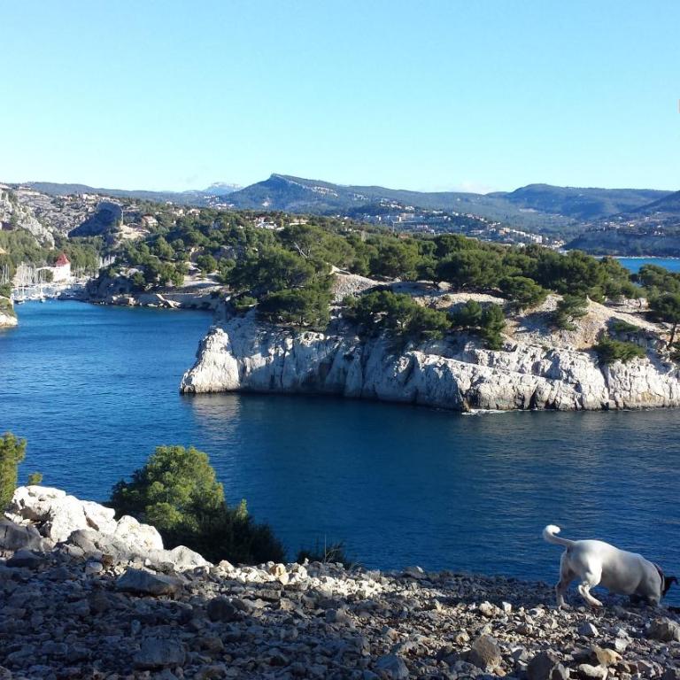 Large private garden, quiet 2-bedroom apartment, air conditioning, wifi, parking - Appartement - 63
