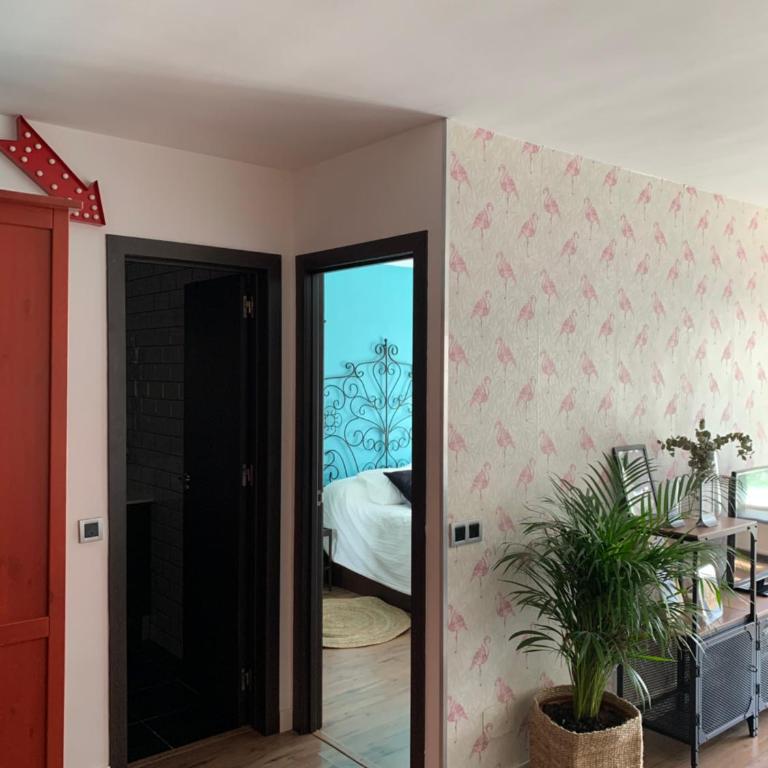 Apartamento Doña Pia - Apartamento - 15