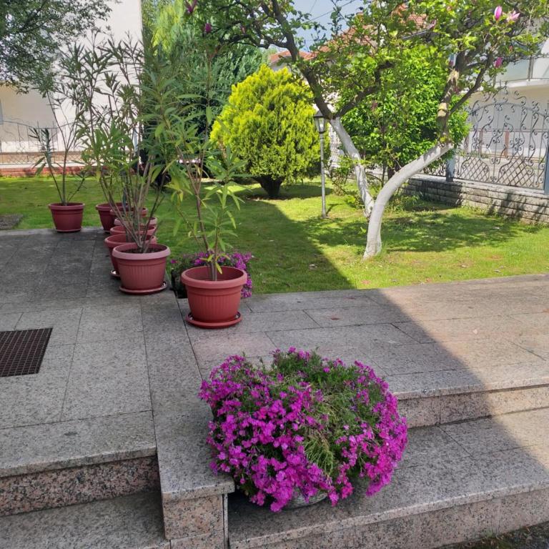 Villa Behić - Four-Bedroom House - 3