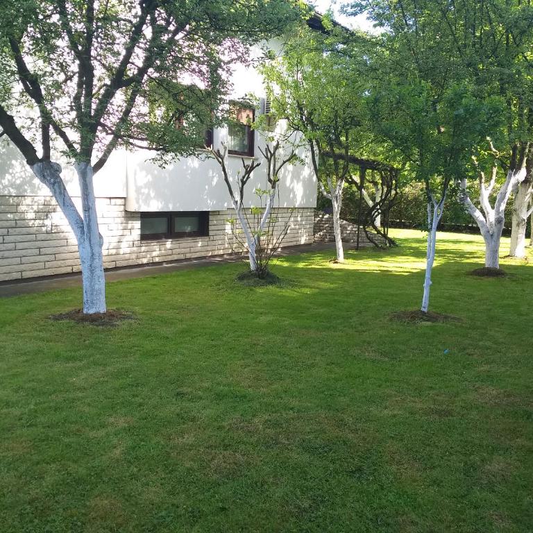 Villa Behić - Four-Bedroom House - 23