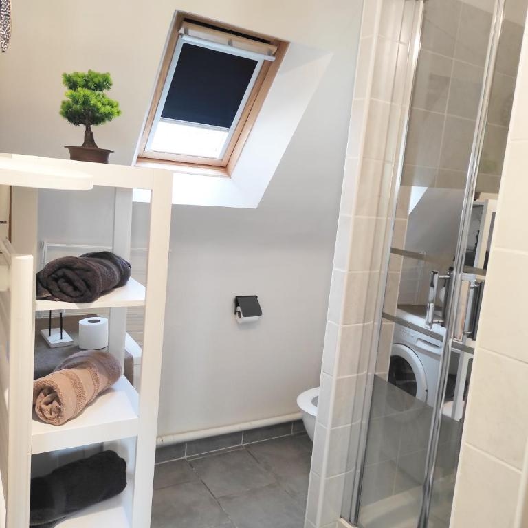 Appartement Saint Malo vue sur mer, parking vélo privé , Ferry, plage et commerces à 50 m - Appartamento con Vista Mare - 24