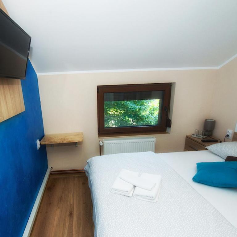 Vila Chess - Dvokrevetna Soba sa Bračnim Krevetom i Sopstvenim Kupatilom - 2