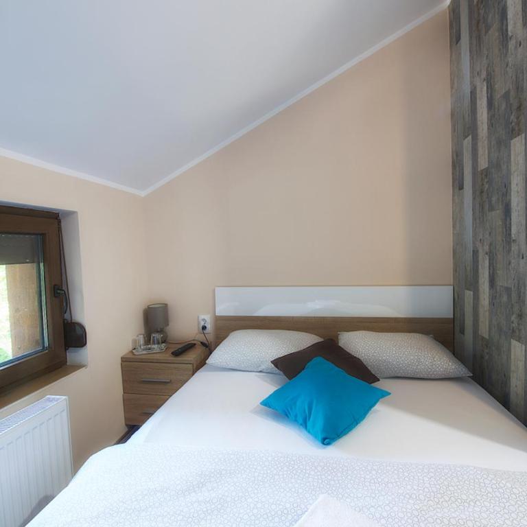 Vila Chess - Dvokrevetna Soba sa Bračnim Krevetom i Sopstvenim Kupatilom - 9