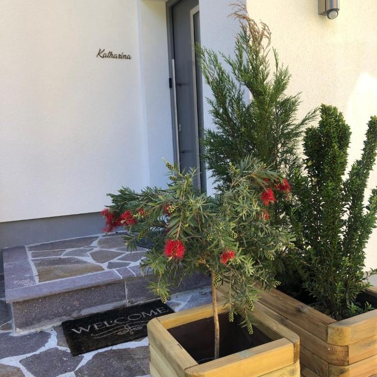 Ferienwohnungen Mikula-Hubacek - Apartment mit 2 Schlafzimmern - 8