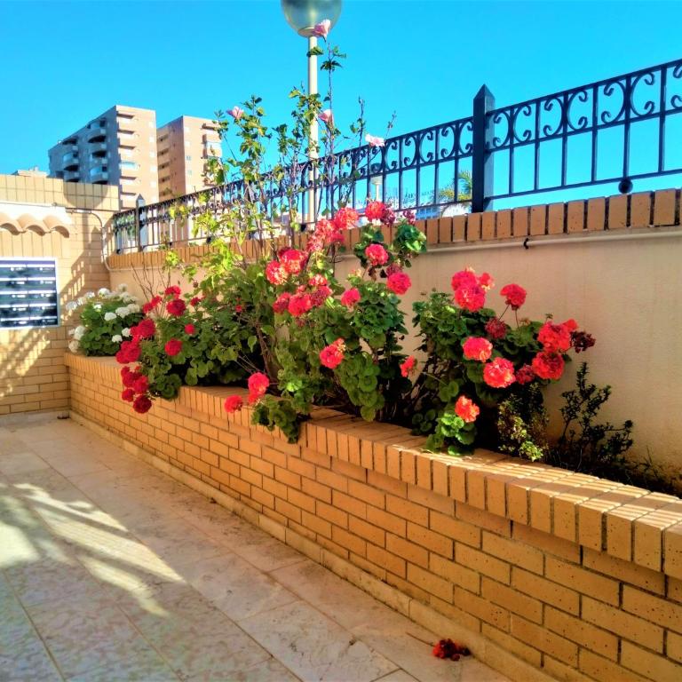 ACV - Valparaiso-2ª Linea Planta 1 Norte - Apartamento de 2 dormitorios - 22