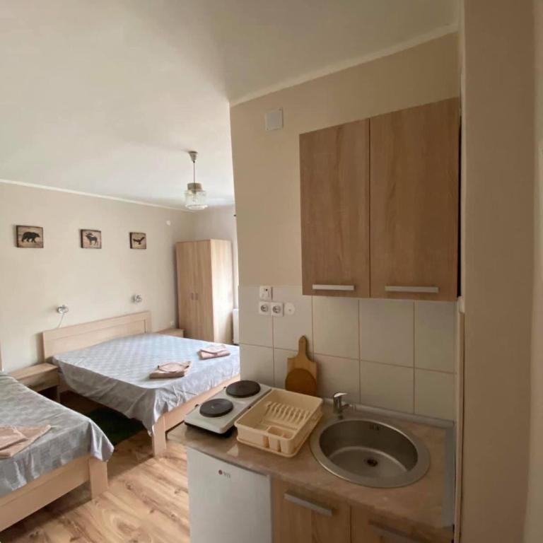 Ozrenska bašta apartmani - Studio with Terrace - 3