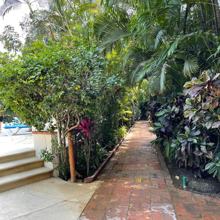 The Best of Marbella - Apartamento de 3 dormitorios - 65
