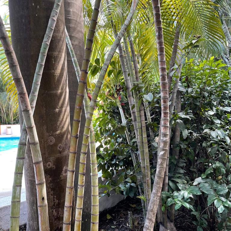 The Best of Marbella - Apartamento de 3 dormitorios - 68
