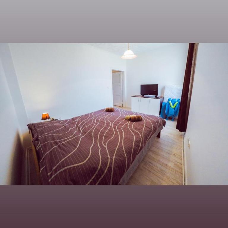 Apartmani Trajković - Apartman sa 2 Spavaće Sobe - 5