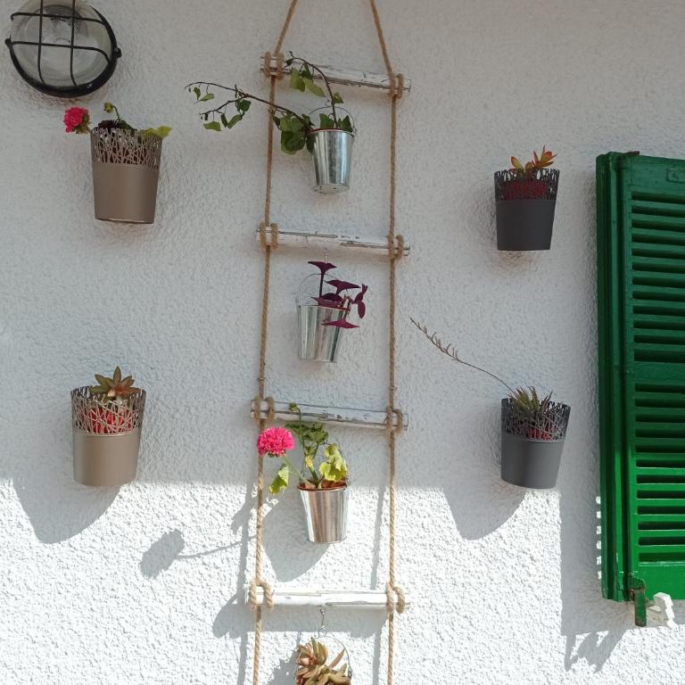 Fantastic, 100 meters from the beach - Apartment with Terrace - 4