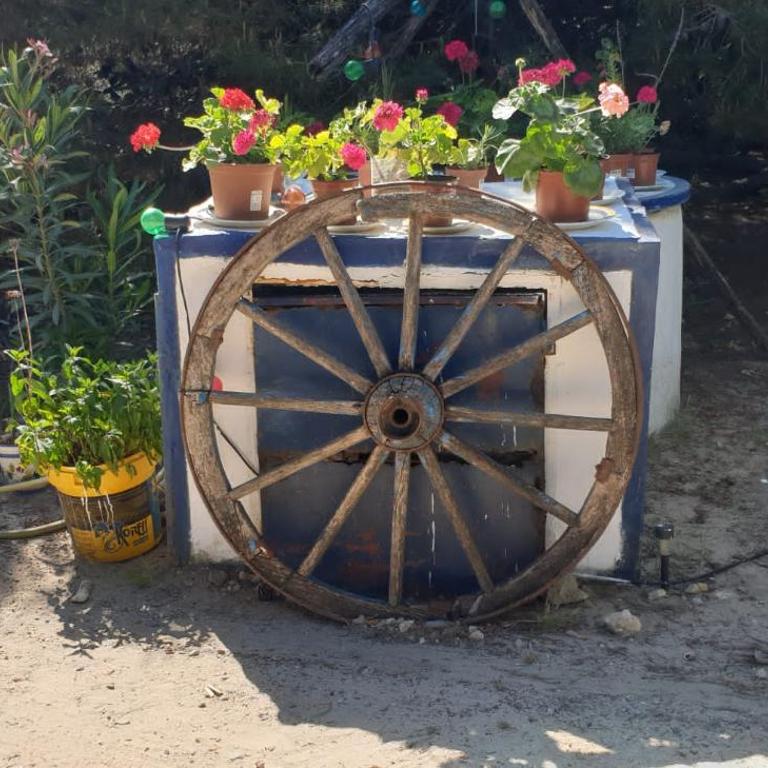 En Finca Las Dunas dos Chalets con jacuzzis en primera linea de playa , uno de 4 dormitorios y otro de 2 dormitorios, Llama al Seiscientos veintisiete Cuatrocientos diecisiete Trescientos noventa y ocho - Chalet - 22