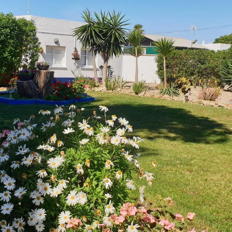 En Finca Las Dunas dos Chalets con jacuzzis en primera linea de playa , uno de 4 dormitorios y otro de 2 dormitorios, Llama al Seiscientos veintisiete Cuatrocientos diecisiete Trescientos noventa y ocho - Bungalow frente a la playa - 1