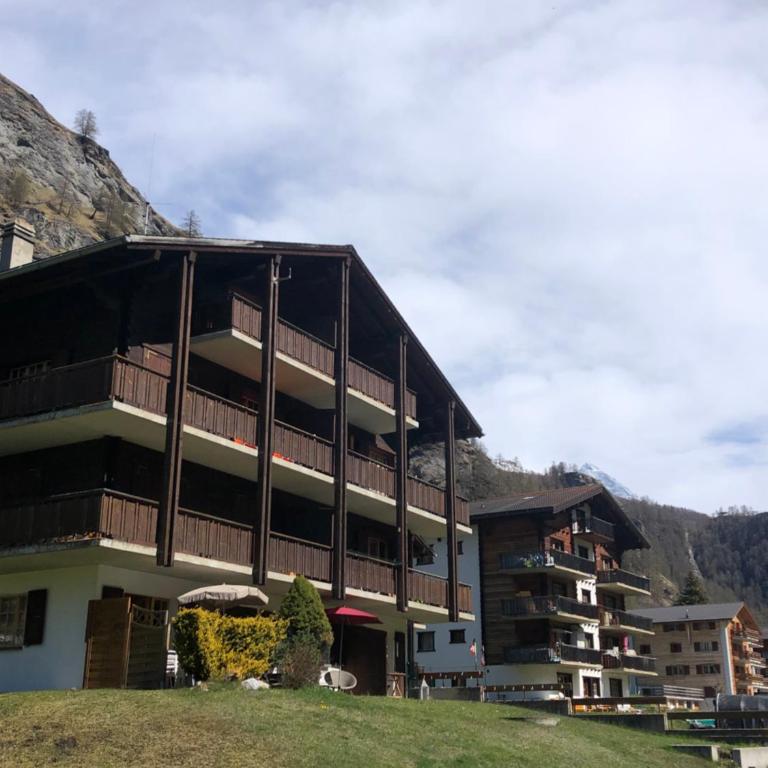 Le Cerf, magnifique studio avec jardin-terrasse et garage - Studio with Terrace - 4