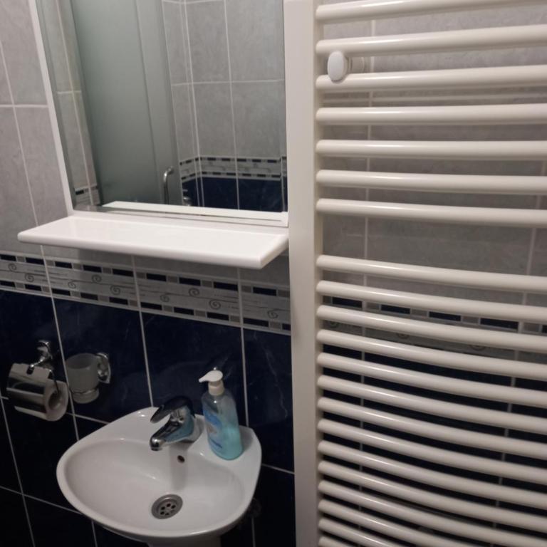 Apartmani Ivančica - One-Bedroom Apartment - 7