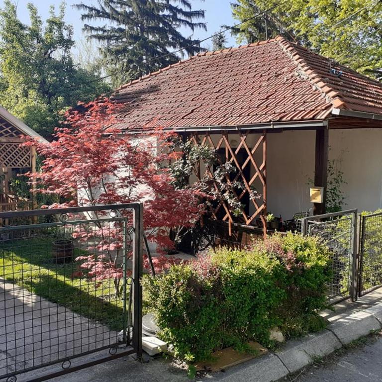 Kuca za odmor Ana, Sokobanja - Two-Bedroom Apartment - 2