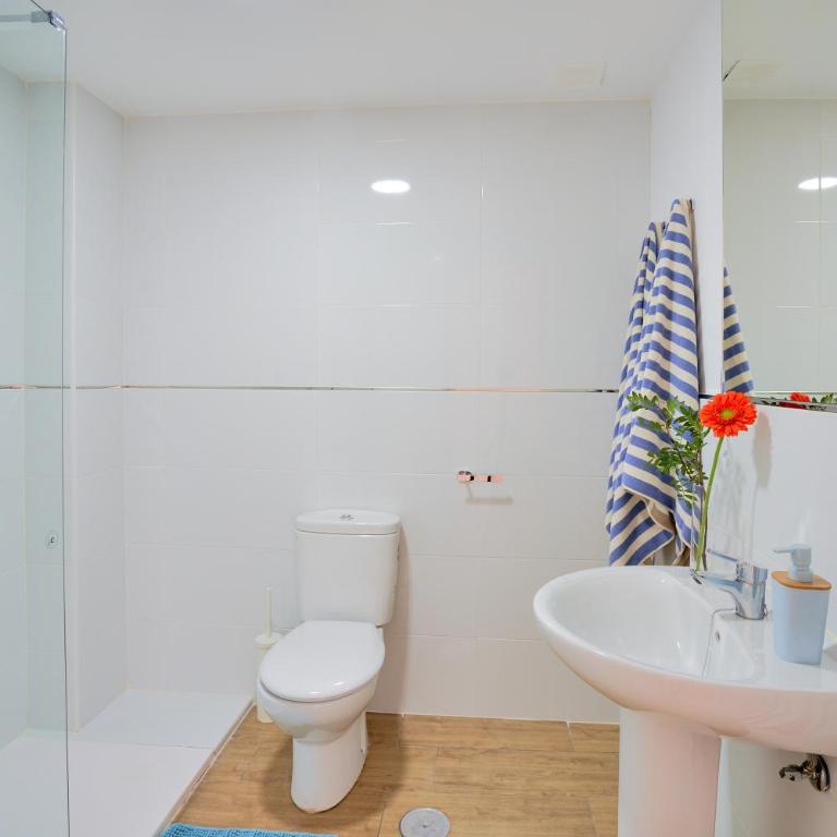 Villa Rosita Suites en Playa de la Malagueta con terraza - Apartamento de 2 dormitorios con terraza - 16