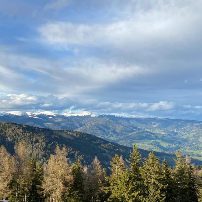 Almchalet Hüttenzauber - Chalet de 3 dormitorios - 38