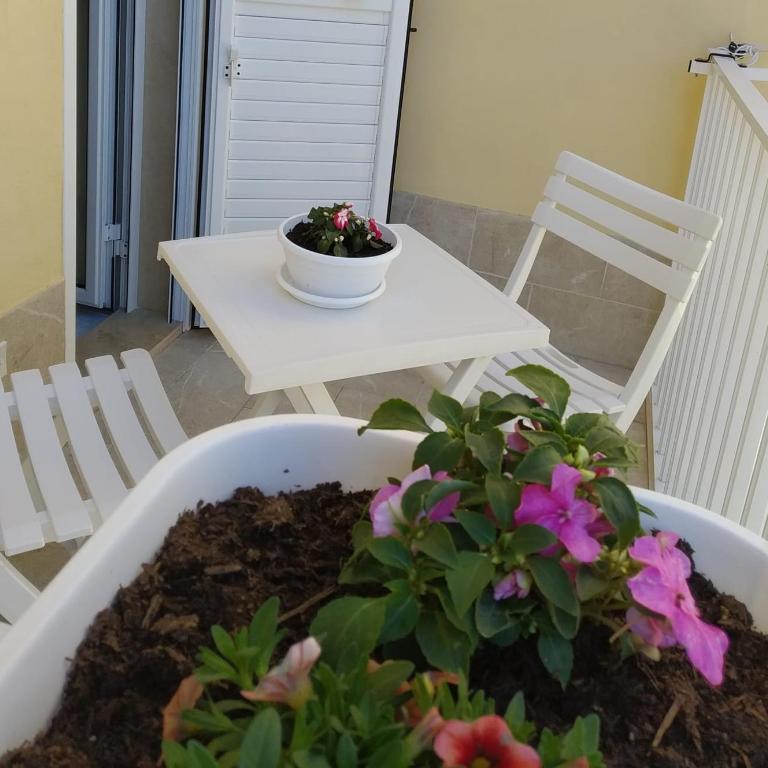 La Casa di Pina - Appartamento - 2