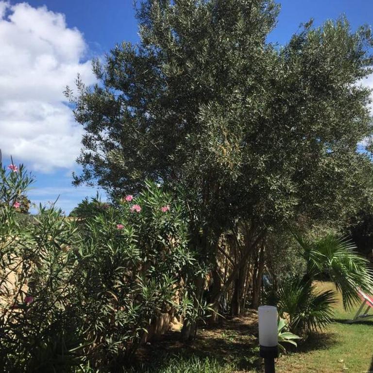 Vacanze isolane - Appartamento con 2 Camere da Letto - 11