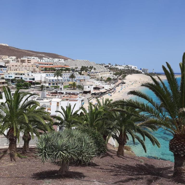 Castillo Holiday Apartment- Puerta del Sol 245 - One-Bedroom Apartment - 22