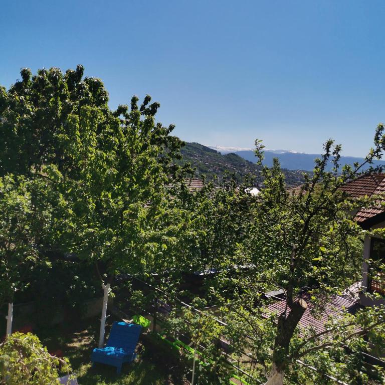 The Bungalows - Bungalow with Garden View - 23