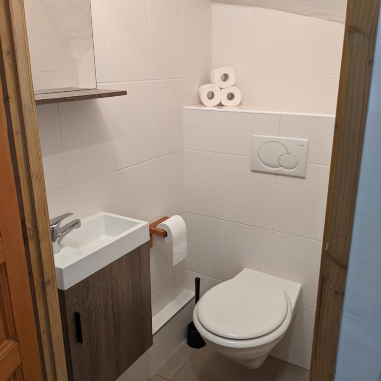 Chalet Robin - spa- multipass- terrain de pétanque - Chalet - 33