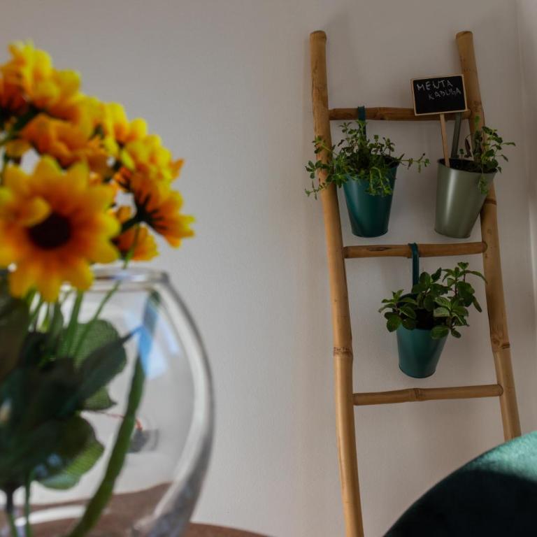 Exclusive apartment Visoko - Apartman sa 1 Spavaćom Sobom - 23