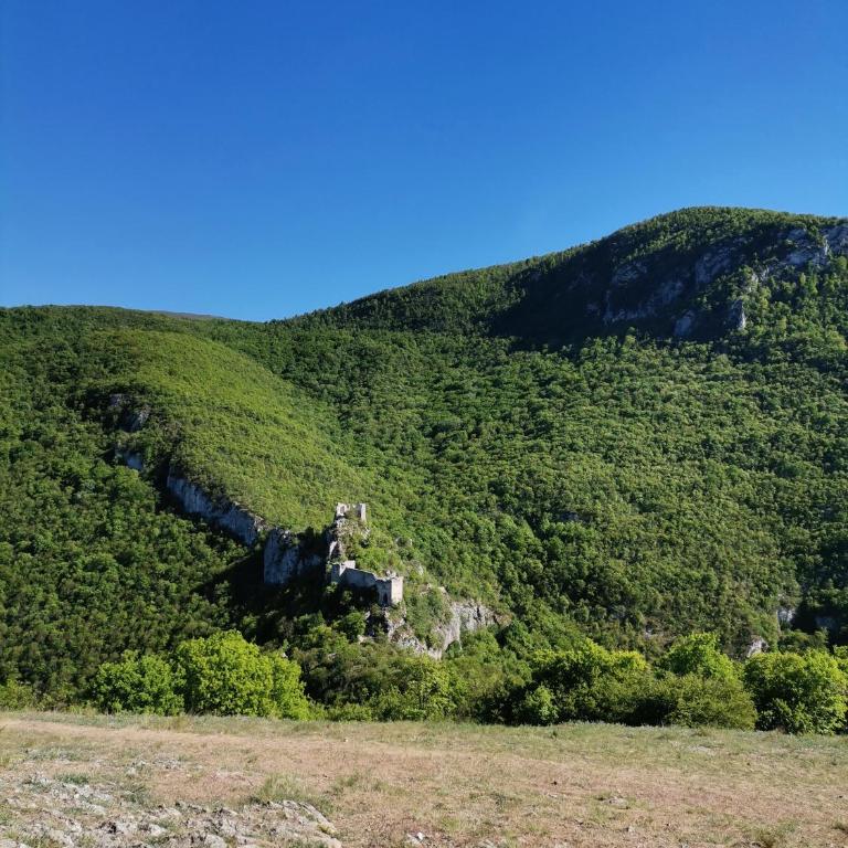 Apartman ST.Nedeljkovic Sokobanja - Porodični Studio - 4