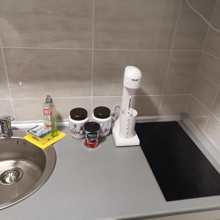 Apartman ST.Nedeljkovic Sokobanja - Porodični Studio - 13