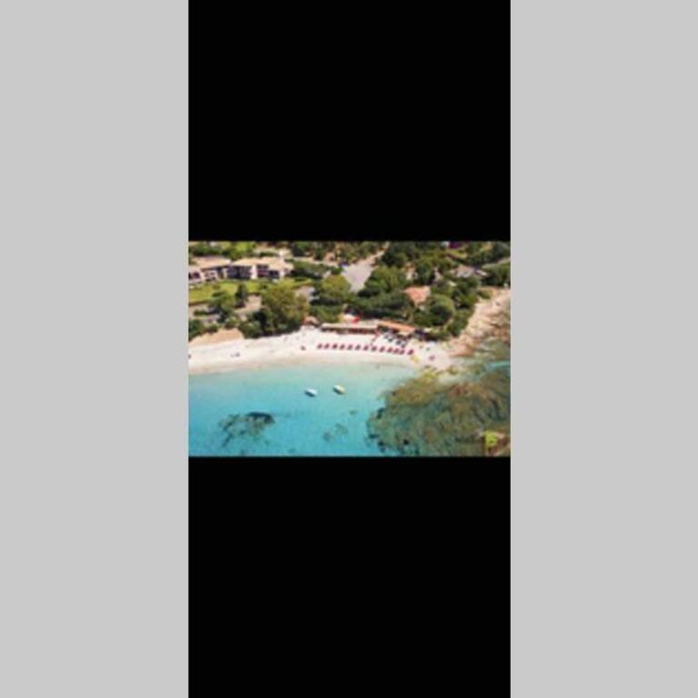 Ajaccio magnifique T2 neuf 40m2 avec balcon au Trottel 4 couchages wifi Clim parking plage à pieds 100m - Apartment mit 1 Schlafzimmer - 40