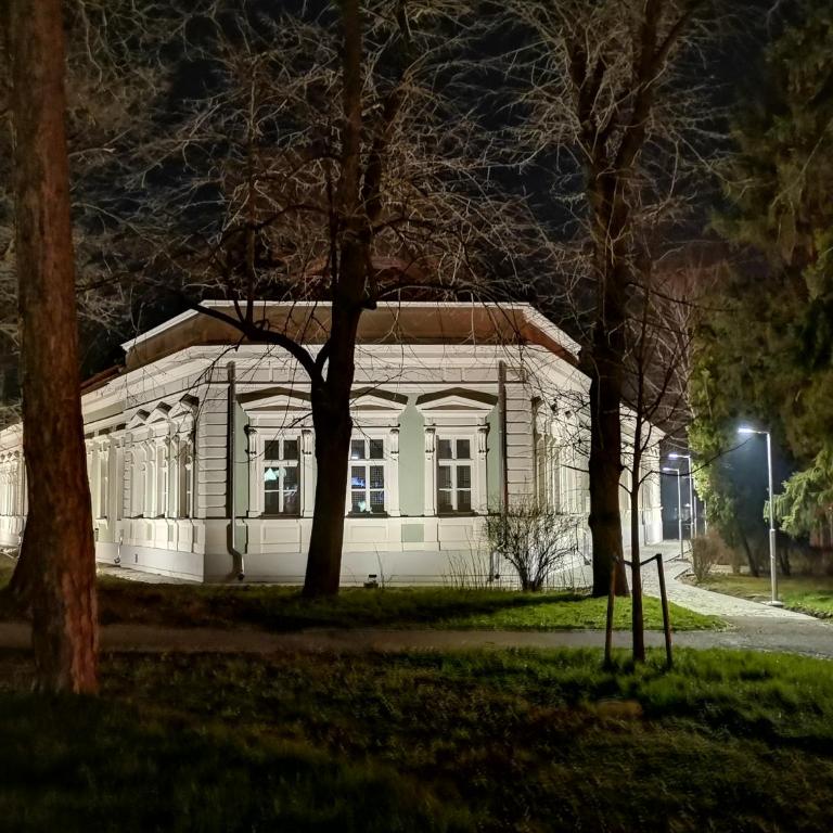 Apartman ST.Nedeljkovic Sokobanja - Porodični Studio - 15